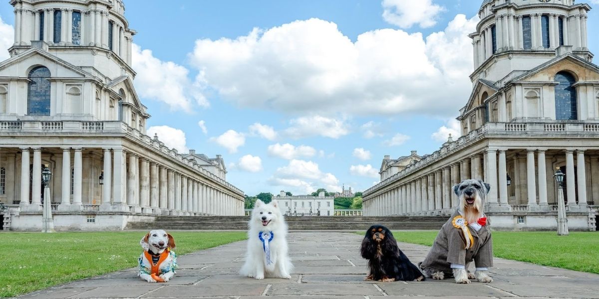 Old Royal Naval College To Present THE GREENWICH DOG SHOW and More This Spring