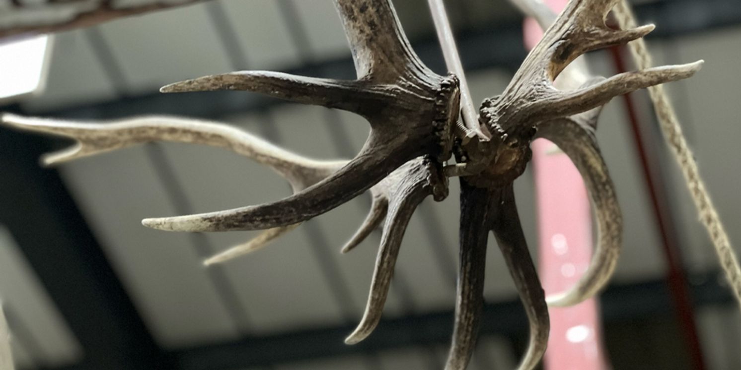 Opera North Reveals Details of Green Season  Image