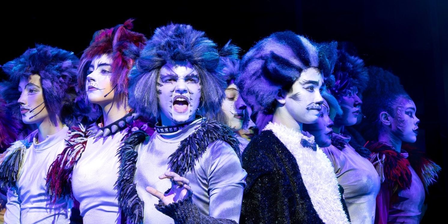 Orbit Arts Academy to Present CATS: Young Actors Edition  Image