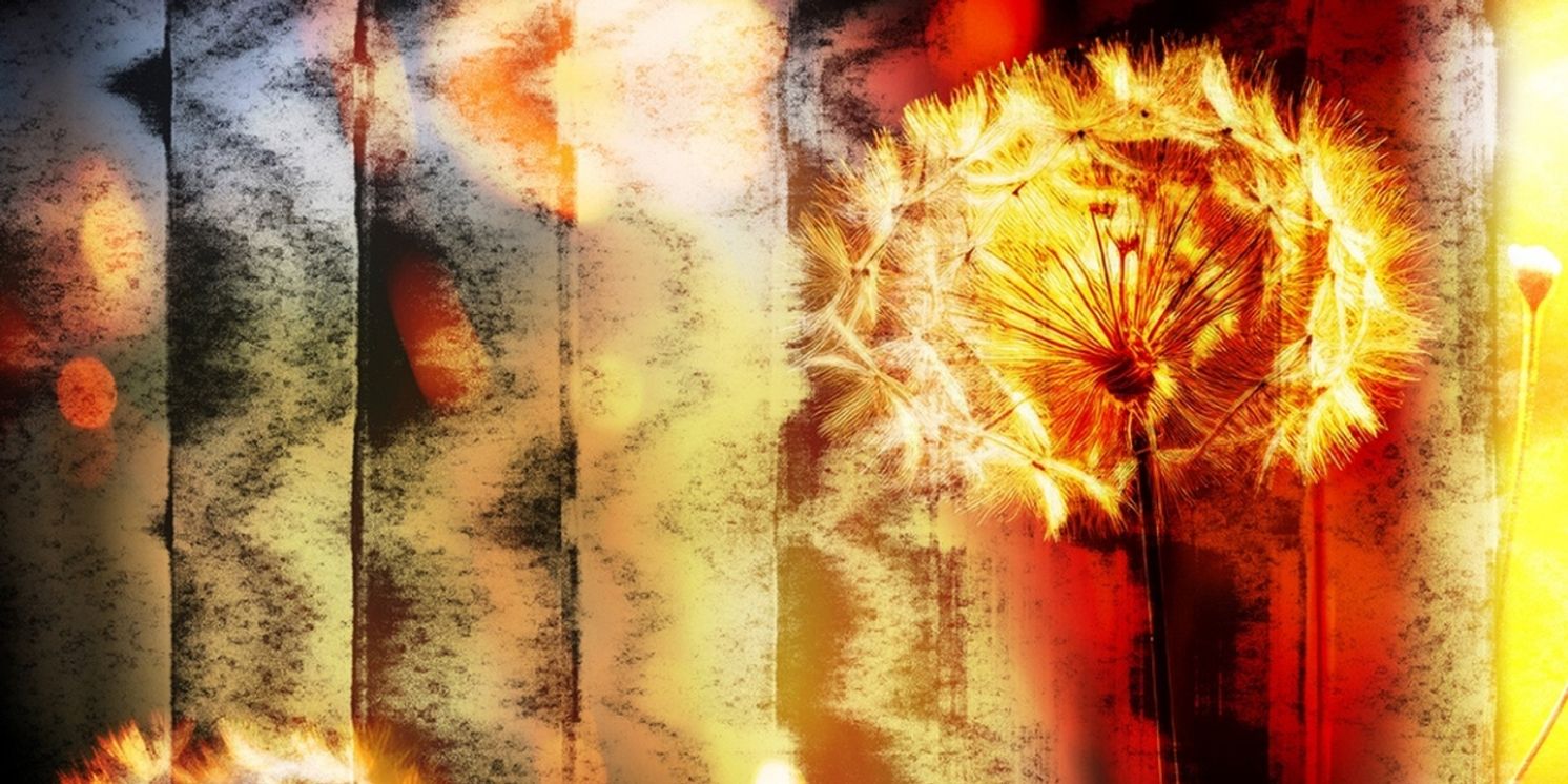 P!NK, Sting & Marshmello Team Up on New Single 'Dreaming'  Image