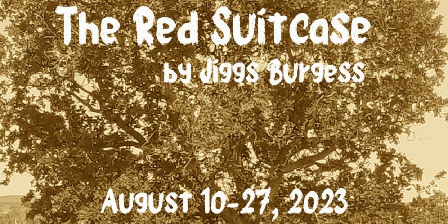 P3 Theatre Company to Present World Premiere of THE RED SUITCASE Beginning Next Month  Image