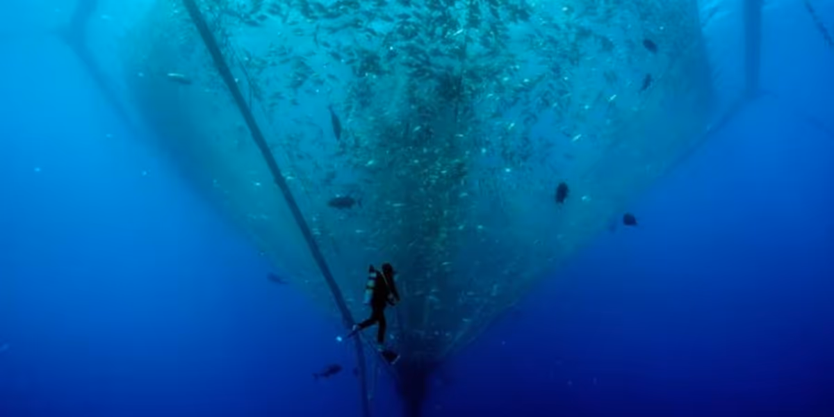 PBS Shines Spotlight On Vital Ocean-Focused Programming Complementing Ongoing Initiative