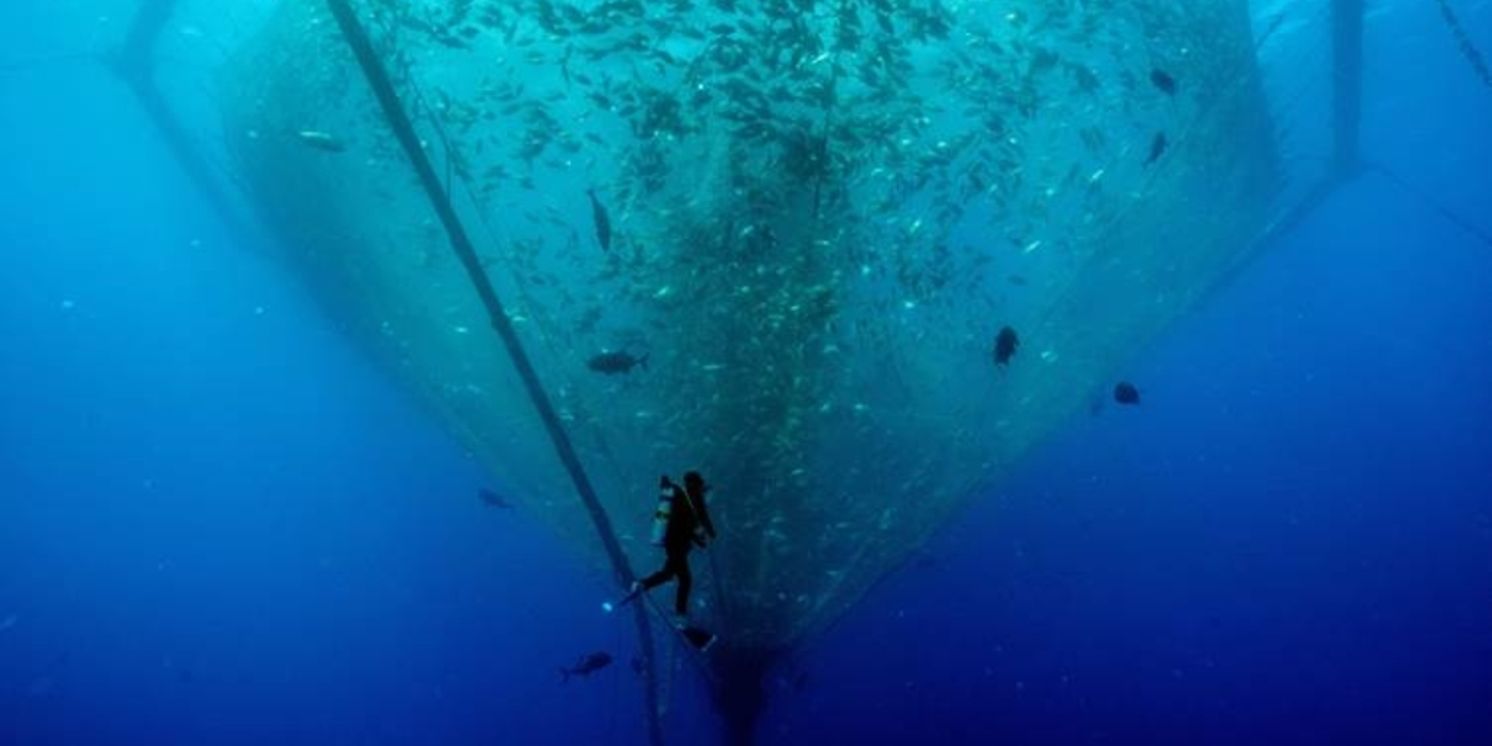 PBS Shines Spotlight On Vital Ocean-Focused Programming Complementing Ongoing Initiative  Image