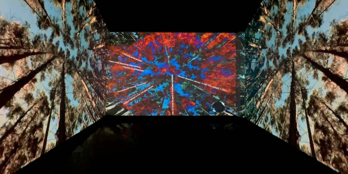 PERENNIAL LAND – THE DATA FOREST To Premiere At Jersey City Theater Center