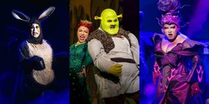 Photos: First Look at SHREK at the Newport Performing Arts Theatre
