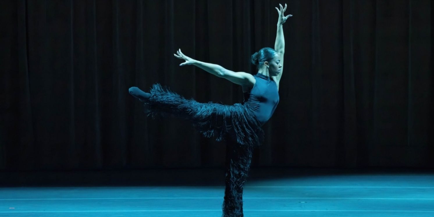 PNC Arts Alive Awards $250,000 in Grants to Four St. Louis Arts Nonprofits  Image