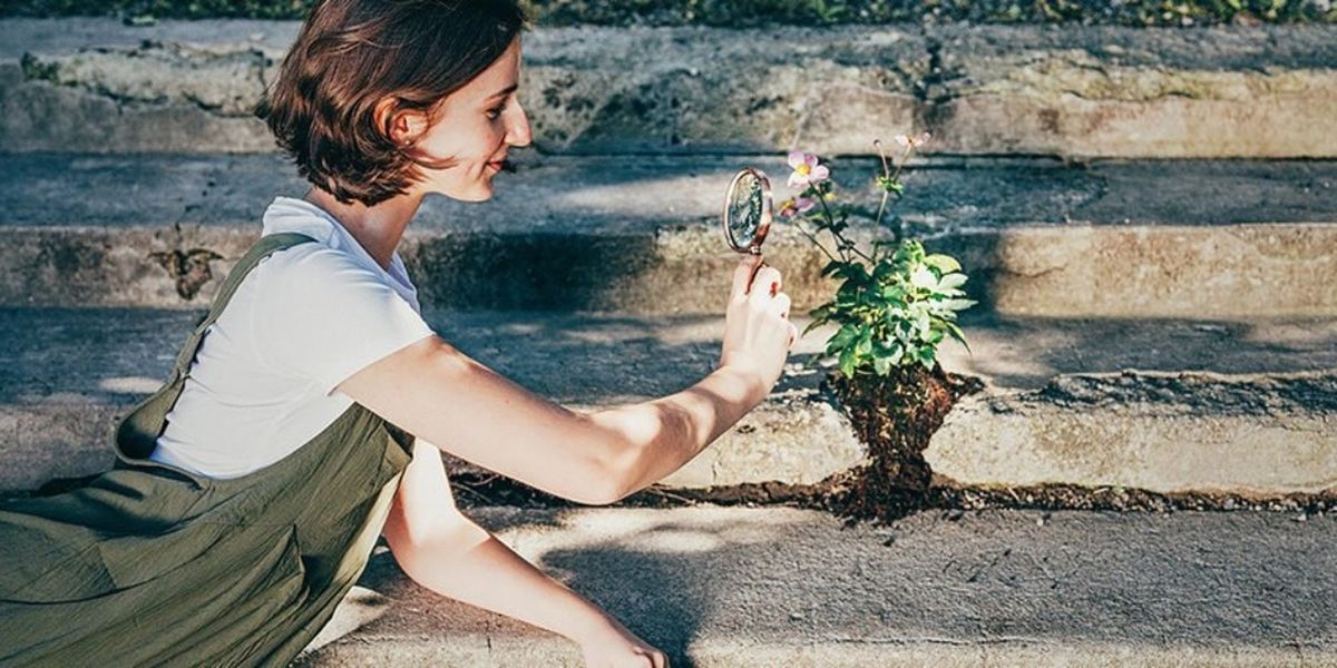 POP UP GARDEN Will Come to Salon Stolz in July