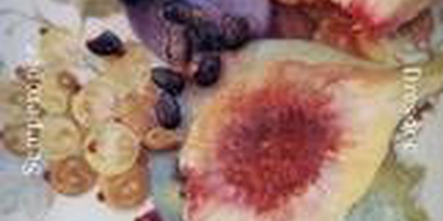 POWDER HER FACE Comes to Semperoper Dresden This Month  Image