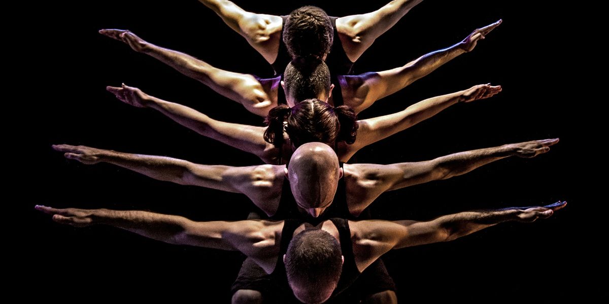 PUSH Physical Theatre to Mark 25th Season with HOME[sic] in Rochester