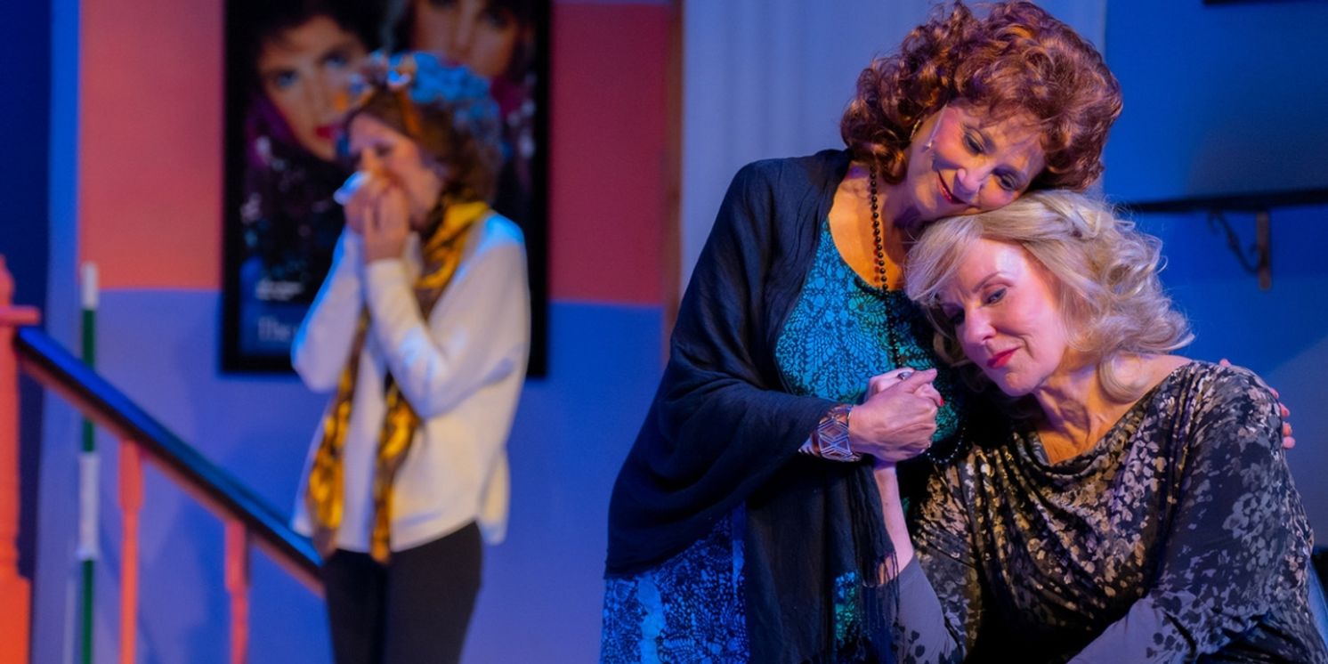 Review: Palm Canyon Theatre STEEL MAGNOLIAS  Image