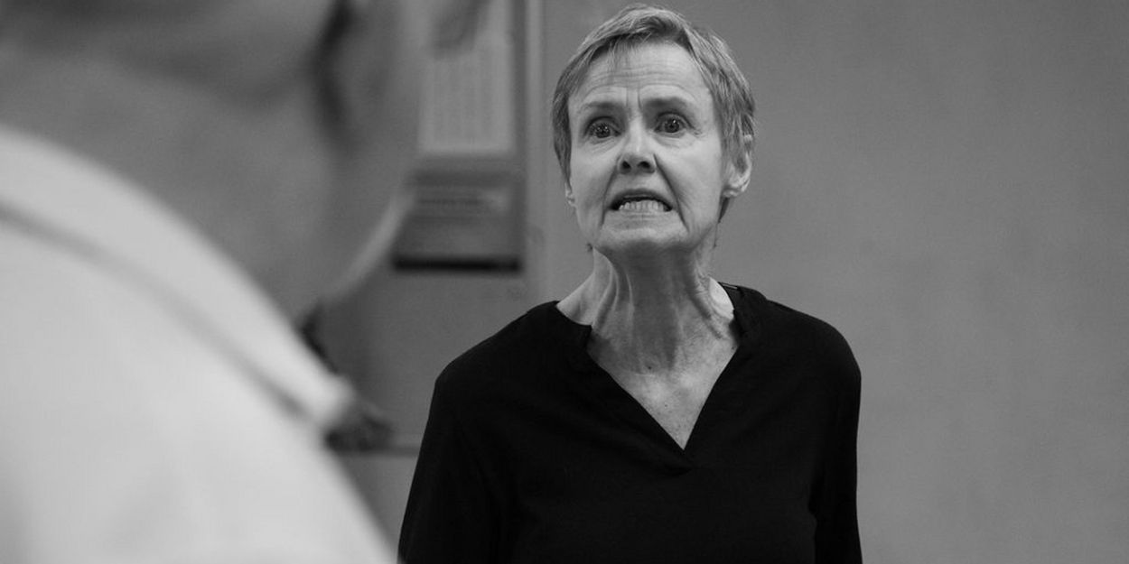 PARADISE LOST by Erin Shields to be Performed at Actors' Theatre Grand Rapids  Image