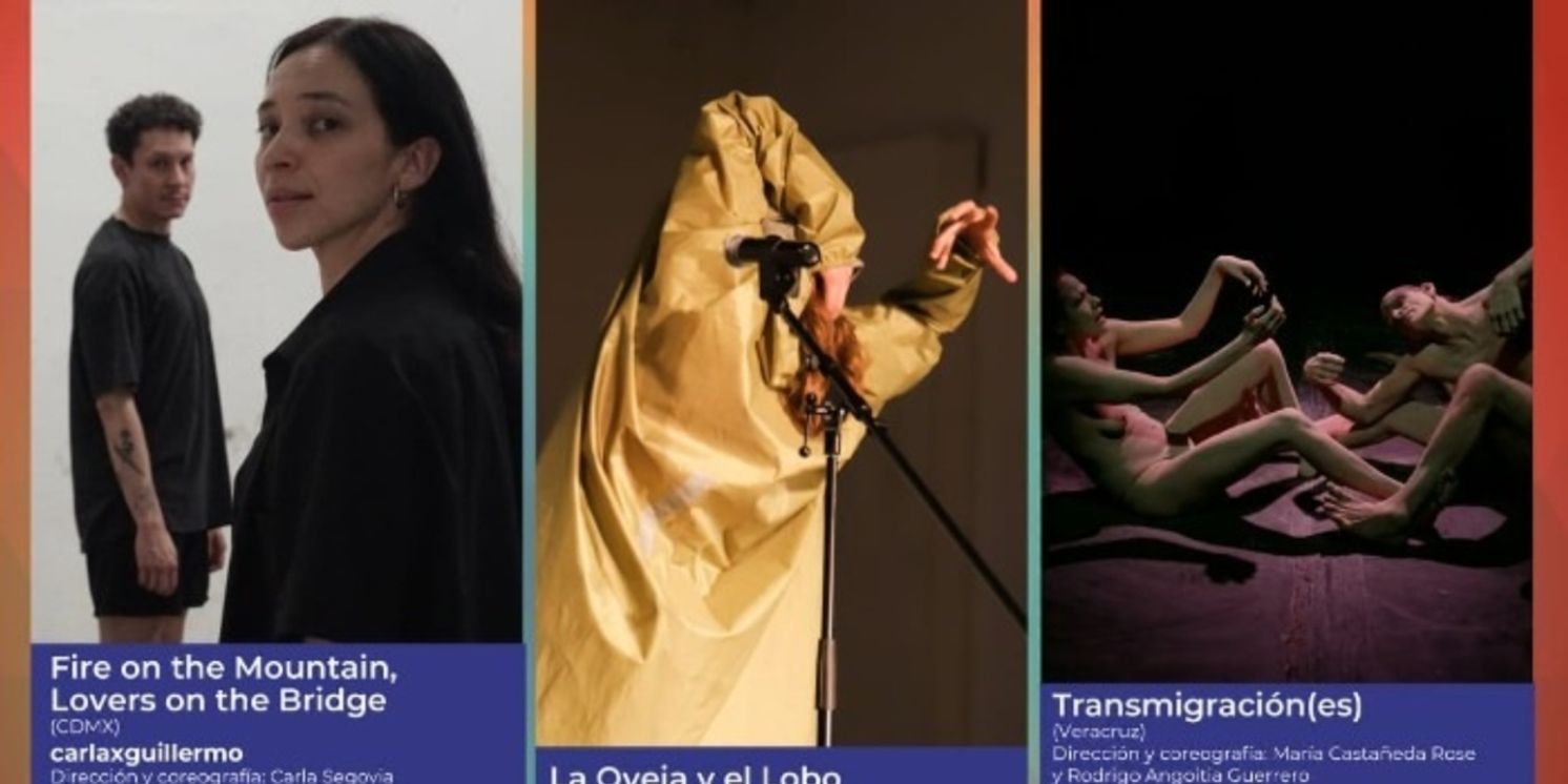 Participaron En La Segunda Sesión Las Obras Finalistas Del Premio Nacional De Danza Guillermo Arriaga 2023  Image