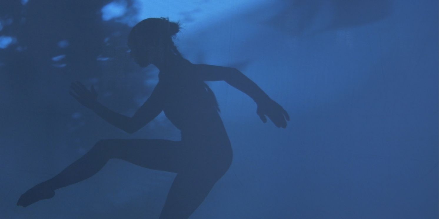 Paul J. Botelho, Brice Brown, Douglas Dunn, and Steve Gibson Bring BODY / SHADOW to Judson Church  Image