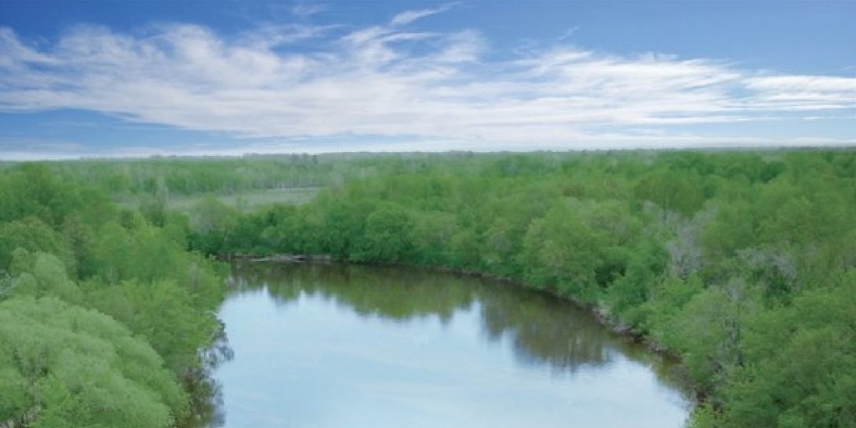 Peacock to Stream Award-Nominated Documentary BAD RIVER