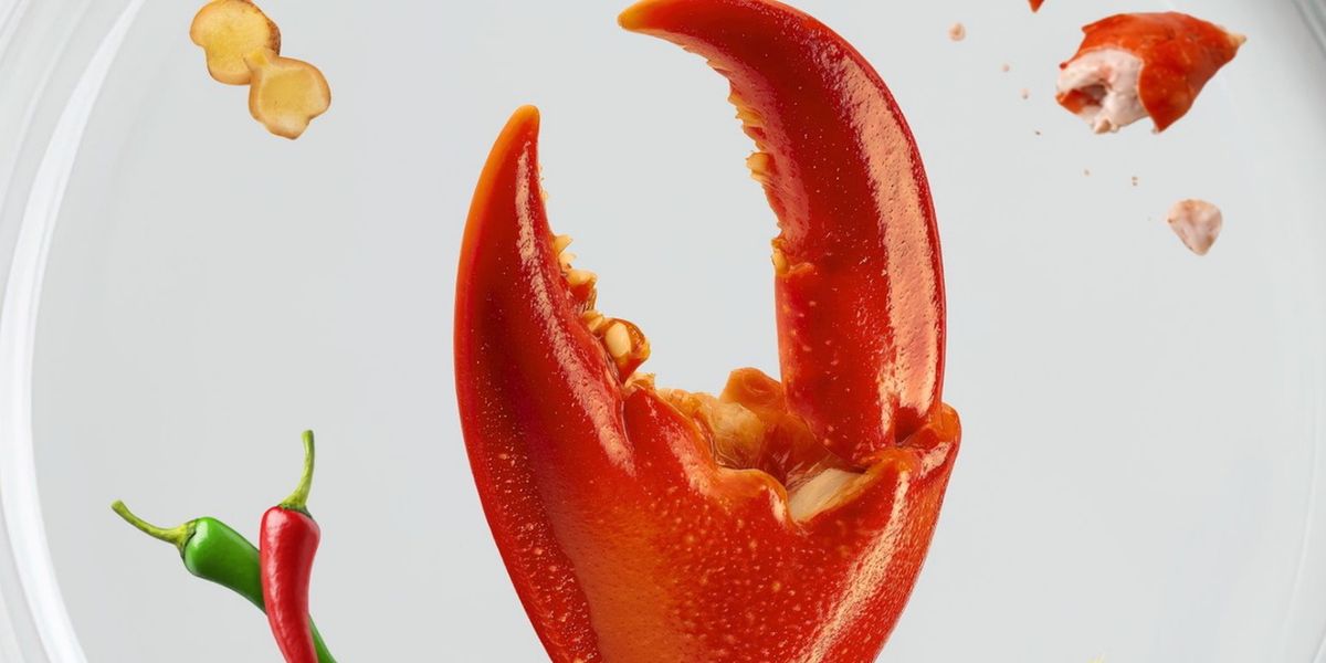 Dark Comedy A PERFECT DISH to be Presented at Peckham Fringe 2026