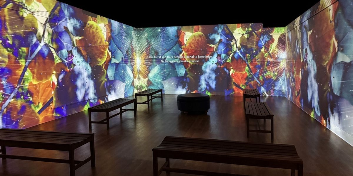 PERENNIAL LAND - The Data Forest Immersive Installation Opens At Morris Museum