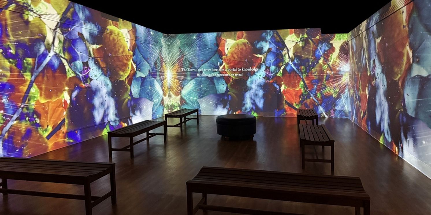 PERENNIAL LAND - The Data Forest Immersive Installation Opens At Morris Museum  Image