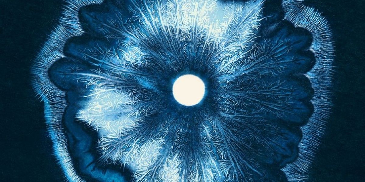 Phil Kline’s FORCE OF NATURE (FEBRUARY) To Have PS21 World Premiere As Part Of The Dark Festival