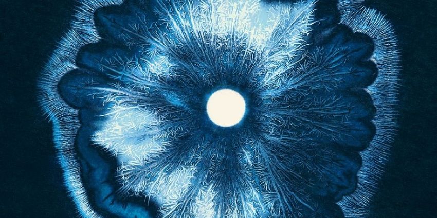 Phil Kline’s FORCE OF NATURE (FEBRUARY) To Have PS21 World Premiere As Part Of The Dark Festival Photo