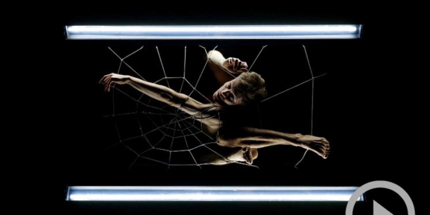 Philippe Saire's HOCUS POCUS Comes to Cinquième Salle, Place des Arts  Image