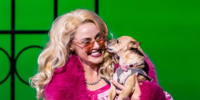 Photos: LEGALLY BLONDE at La Mirada Theatre for the Performing Arts Photos