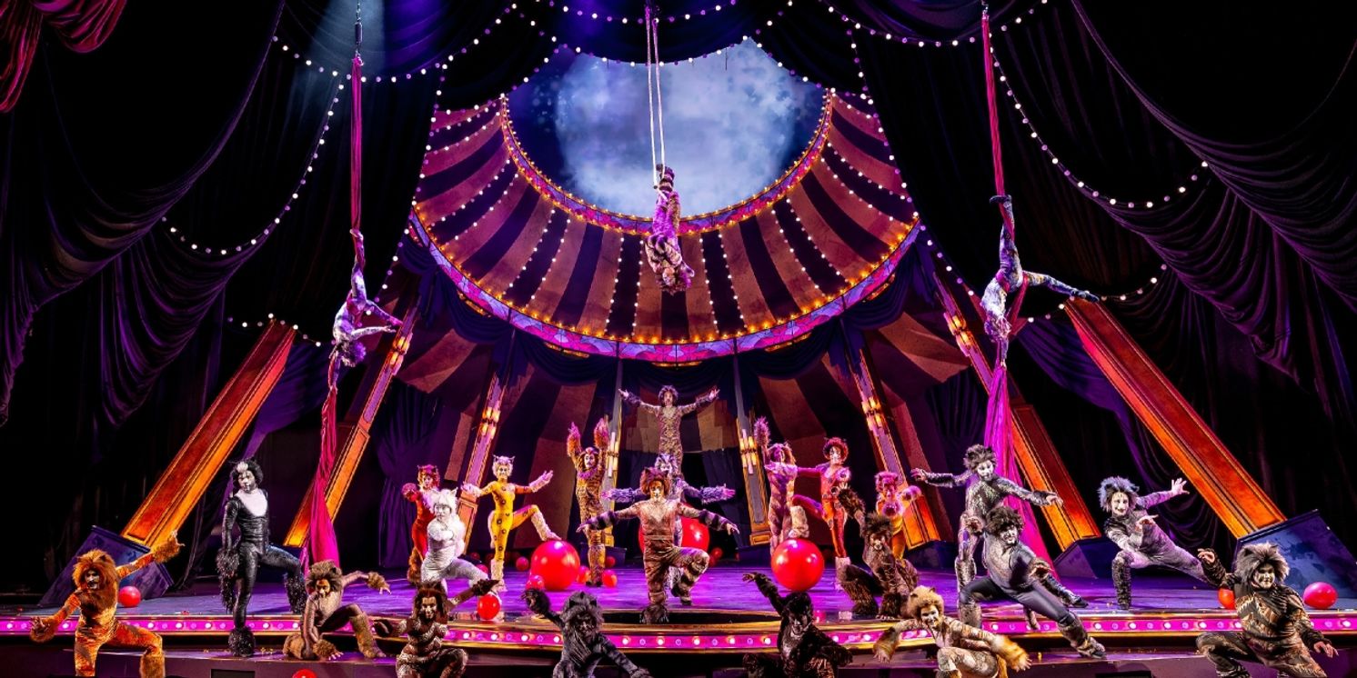 Review Roundup:: Circus-Themed CATS Soars At Chicago's Paramount Theatre  Image