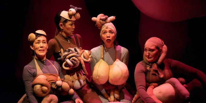 Photos: First Look at Second Stage Theater's MEAT SUIT, OR THE SHITSHOW OF MOTHE Photos