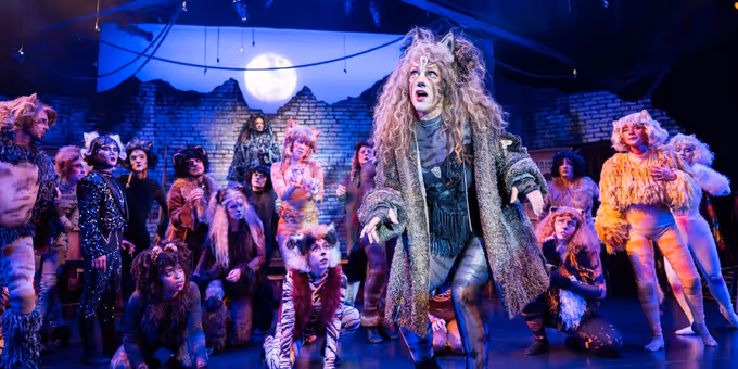 Photos: CATS At Berkeley Playhouse Photos