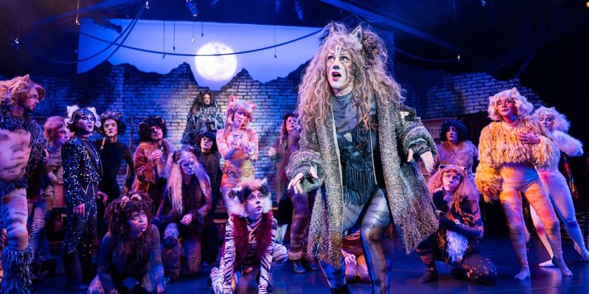 Photos: CATS At Berkeley Playhouse Photo