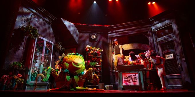 Photos: 5-Star Theatricals' LITTLE SHOP OF HORRORS at Bank of America Performing Photos