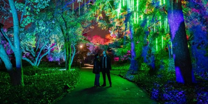Photos: Brooklyn Botanic Garden's LIGHTSCAPE Photos