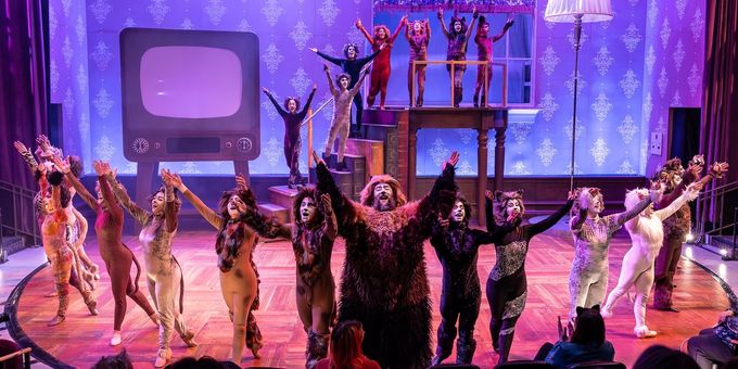 Photos: CATS Comes To Life At Music Theater Works Photos
