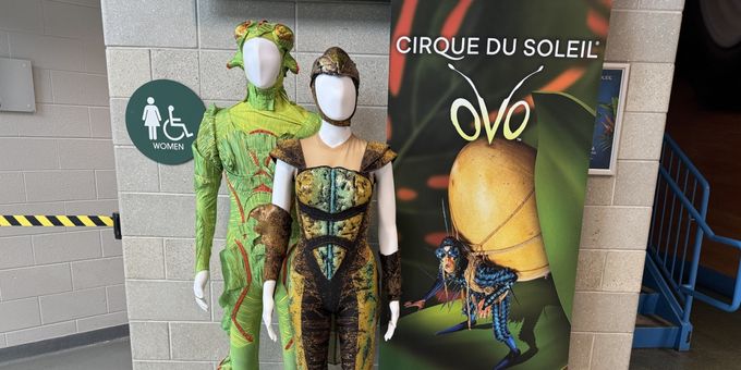 Photos: Cirque Du Soleil OVO Costume Installation On Display At Mohegan Arena At Photos