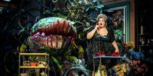 First Look at Paramount Theatre's LITTLE SHOP OF HORRORS