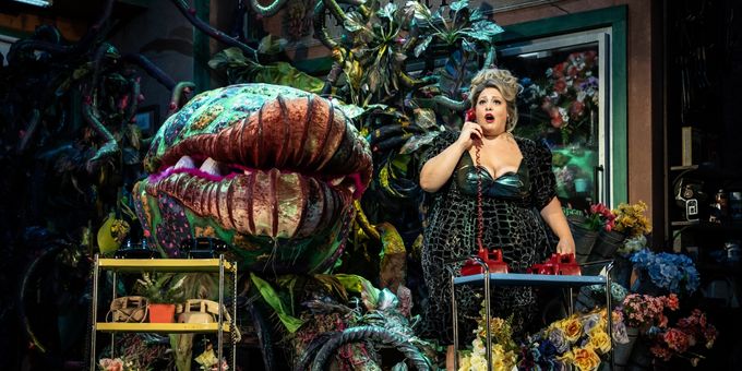 Photos: First Look at Paramount Theatre's LITTLE SHOP OF HORRORS Photos