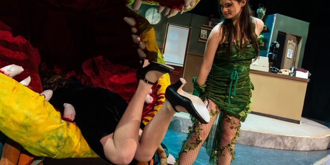 Photos: First look at Dublin Jerome High School Drama Club presents LITTLE SHOP  Photos