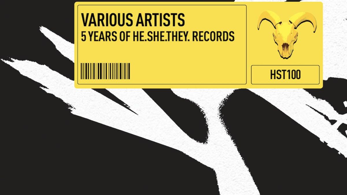 Photos: HE.SHE.THEY Releases 25-TRACK Debut Compilation 5 YEARS OF HE.SHE.THEY RECORDS