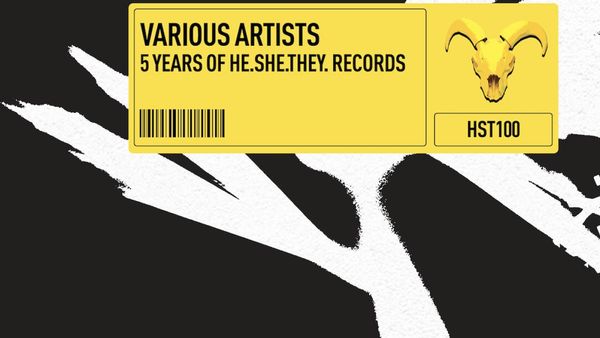 Photos: HE.SHE.THEY Releases 25-TRACK Debut Compilation 5 YEARS OF HE.SHE.THEY RECORDS