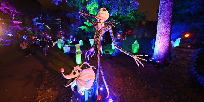 Photos: Inside THE NIGHTMARE BEFORE CHRISTMAS Light Trail at the New York Botani Photos
