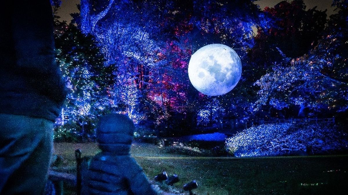 Photos: LIGHTSCAPE to Return to Brooklyn Botanic Garden