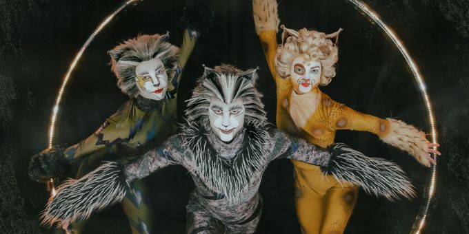 Photos: Meet the Cast of CATS At Paramount Theatre Photos