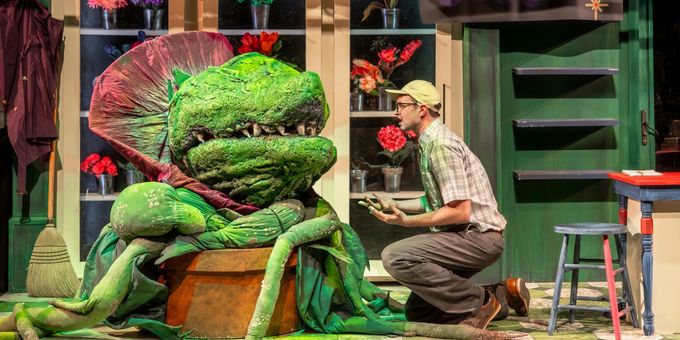 Photos: Music Theater Works' LITTLE SHOP OF HORRORS Photos