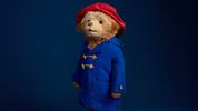 PADDINGTON THE MUSICAL Will Open at Sydney's Capitol Theatre in 2027 Photo