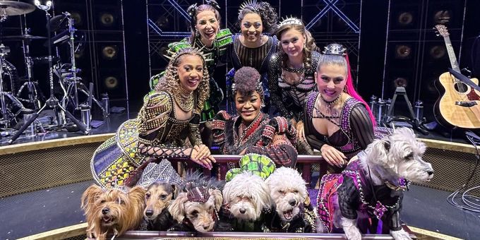 Photos: Dogs Dressed as the SIX Queens Meet the SIX Queens of Broadway Photos