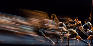 Photos: See New Images of BLACK SWAN World Premiere at A.R.T.