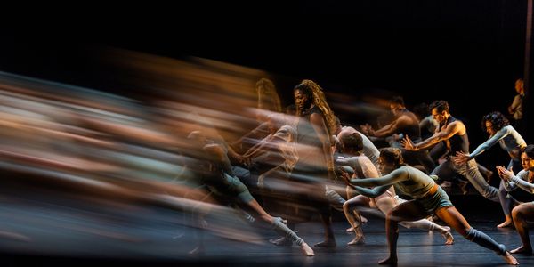 Photos: See New Images of BLACK SWAN World Premiere at A.R.T. Photo