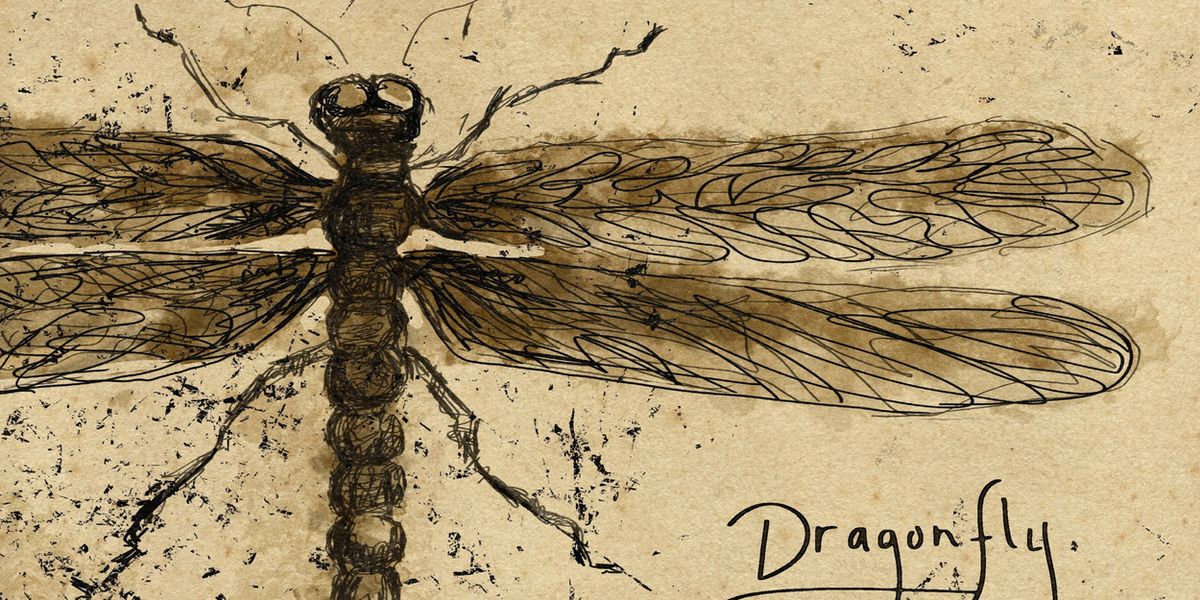 Photos: Skip Ewing Announces New Album DRAGONFLY, New Song Out Now
