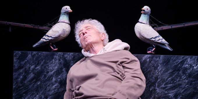 Photos: THE AVES At Berkeley Repertory Theatre Photos