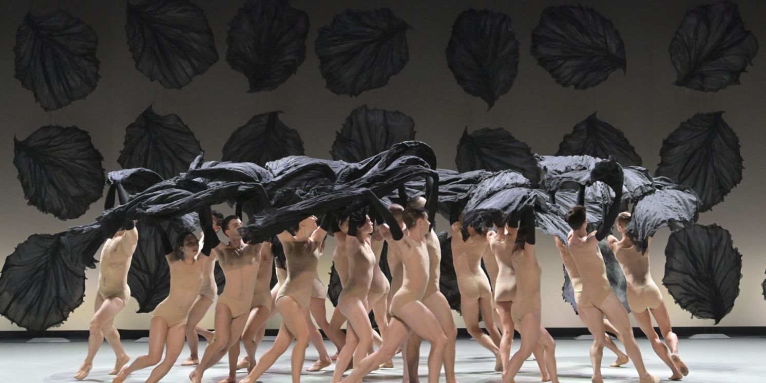 Pittsburgh Dance Council Reveals 2024-2025 Season  Image