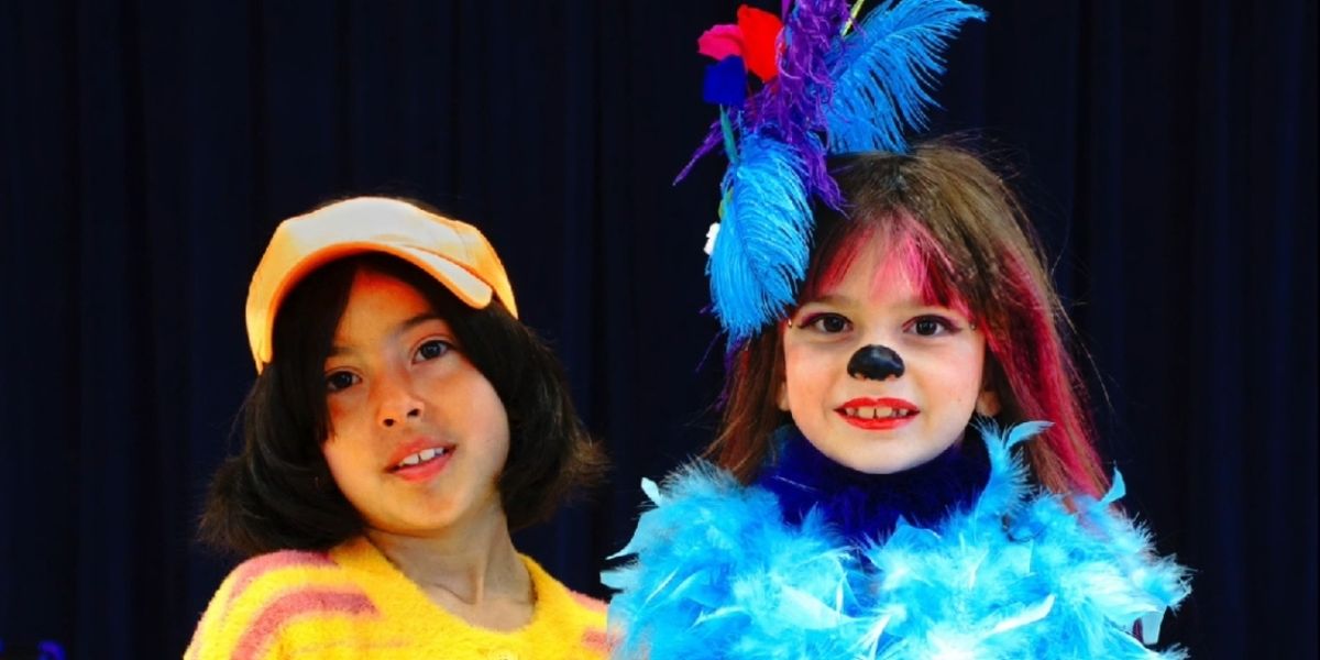 Placer Rep Seeks VAPA Academy Artists and/or Educators